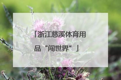 浙江慈溪体育用品“闯世界”