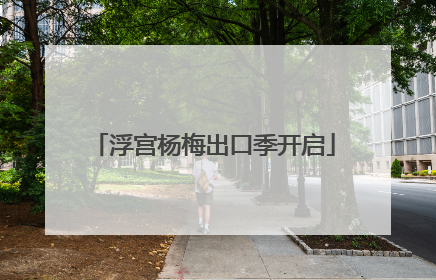 浮宫杨梅出口季开启