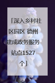 深入乡村社区园区 德州建成政务服务站点1527个