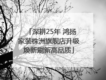深耕25年 鸿扬家装株洲旗舰店升级焕新刷新高品质