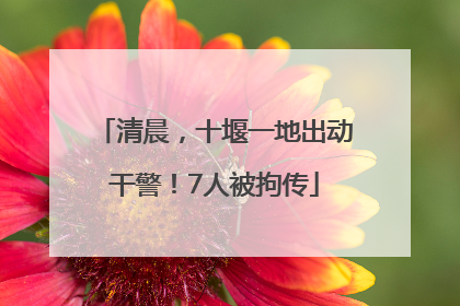 清晨，十堰一地出动干警！7人被拘传