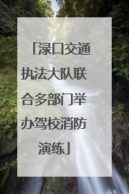 渌口交通执法大队联合多部门举办驾校消防演练