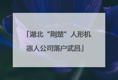 湖北“荆楚”人形机器人公司落户武昌