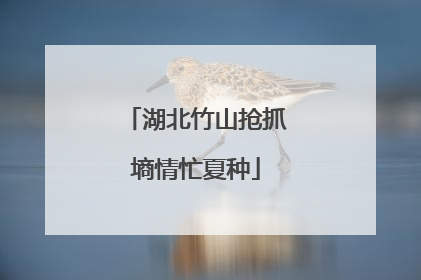 湖北竹山抢抓墒情忙夏种