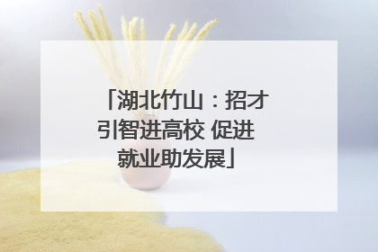 湖北竹山：招才引智进高校 促进就业助发展