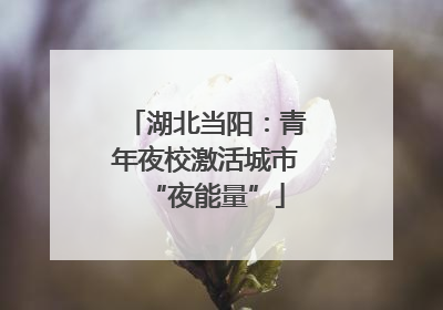 湖北当阳：青年夜校激活城市“夜能量”