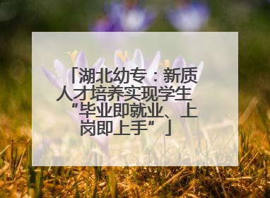 湖北幼专：新质人才培养实现学生“毕业即就业、上岗即上手”