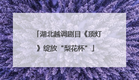 湖北越调剧目《顶灯》绽放“梨花杯”