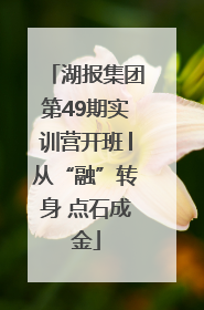 湖报集团第49期实训营开班│从“融”转身 点石成金