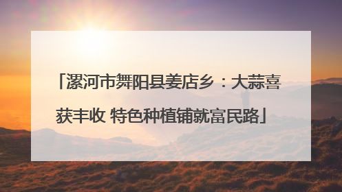漯河市舞阳县姜店乡：大蒜喜获丰收 特色种植铺就富民路