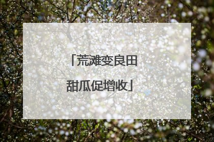 荒滩变良田 甜瓜促增收
