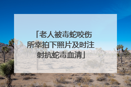 老人被毒蛇咬伤 所幸拍下照片及时注射抗蛇毒血清
