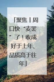 聚焦丨周口快“麦罢”了！收成好于上年、品质高于往年