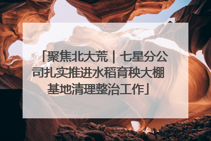 聚焦北大荒｜七星分公司扎实推进水稻育秧大棚基地清理整治工作