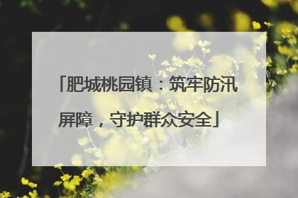 肥城桃园镇：筑牢防汛屏障，守护群众安全