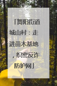 舞阳街道城山村：走进苗木基地，织密反诈防护网