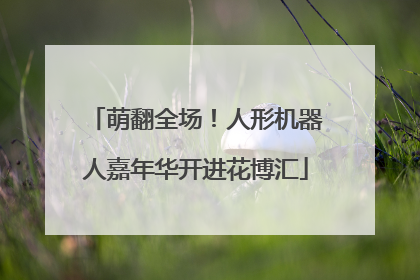 萌翻全场！人形机器人嘉年华开进花博汇