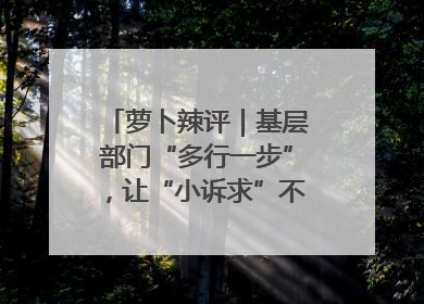 萝卜辣评｜基层部门“多行一步”，让“小诉求”不缺席法治守护