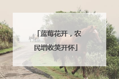 蓝莓花开，农民增收笑开怀