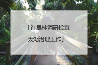 许昆林调研检查太湖治理工作