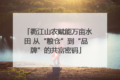 衢江山农赋能万亩水田 从“粮仓”到“品牌”的共富密码