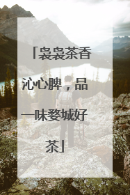 袅袅茶香沁心脾，品一味婺城好茶