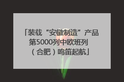 装载“安徽制造”产品 第5000列中欧班列（合肥）鸣笛起航