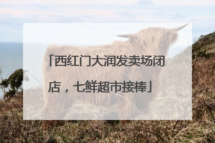 西红门大润发卖场闭店，七鲜超市接棒