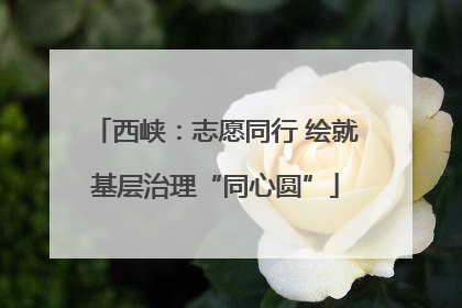 西峡：志愿同行 绘就基层治理“同心圆”