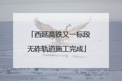 西延高铁又一标段无砟轨道施工完成