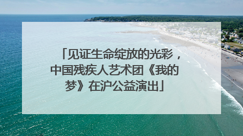 见证生命绽放的光彩，中国残疾人艺术团《我的梦》在沪公益演出