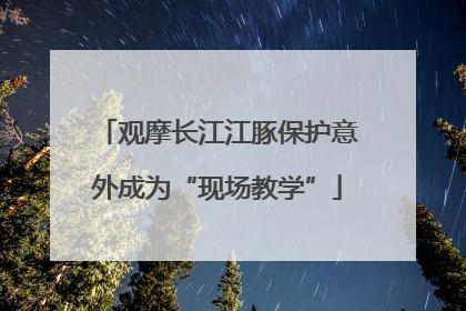 观摩长江江豚保护意外成为“现场教学”