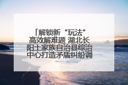 解锁新“玩法” 高效解难题 湖北长阳土家族自治县综治中心打造矛盾纠纷调处“终点站”