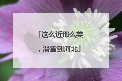 这么近那么美，滑雪到河北