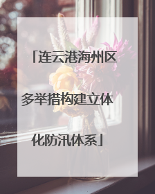 连云港海州区多举措构建立体化防汛体系