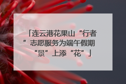 连云港花果山“行者”志愿服务为端午假期“景”上添“花”