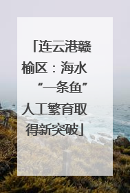 连云港赣榆区：海水“一条鱼”人工繁育取得新突破