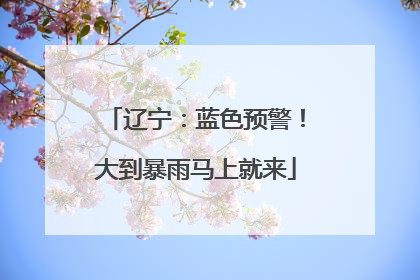 辽宁：蓝色预警！大到暴雨马上就来