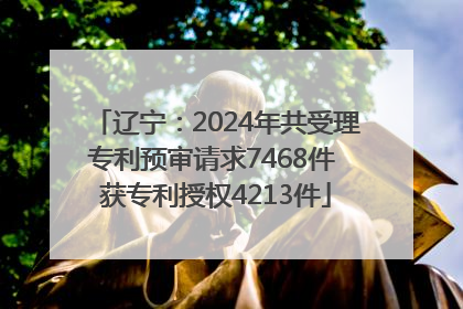 辽宁：2024年共受理专利预审请求7468件 获专利授权4213件