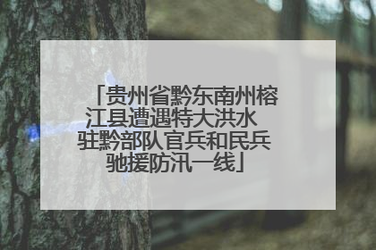 贵州省黔东南州榕江县遭遇特大洪水 驻黔部队官兵和民兵驰援防汛一线