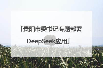 贵阳市委书记专题部署DeepSeek应用