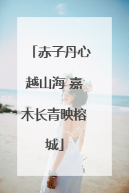 赤子丹心越山海 嘉木长青映榕城