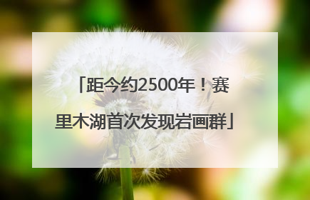 距今约2500年！赛里木湖首次发现岩画群