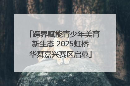 跨界赋能青少年美育新生态 2025虹桥华舞嘉兴赛区启幕
