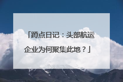 蹲点日记：头部航运企业为何聚集此地？
