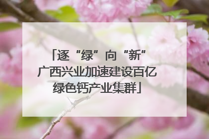 逐“绿”向“新” 广西兴业加速建设百亿绿色钙产业集群