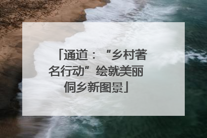 通道：“乡村著名行动”绘就美丽侗乡新图景