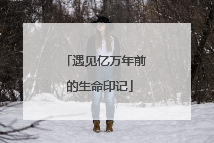 遇见亿万年前的生命印记