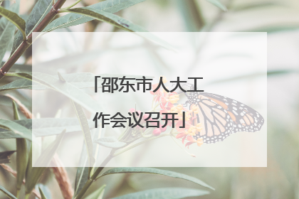 邵东市人大工作会议召开