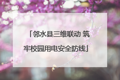 邻水县三维联动 筑牢校园用电安全防线